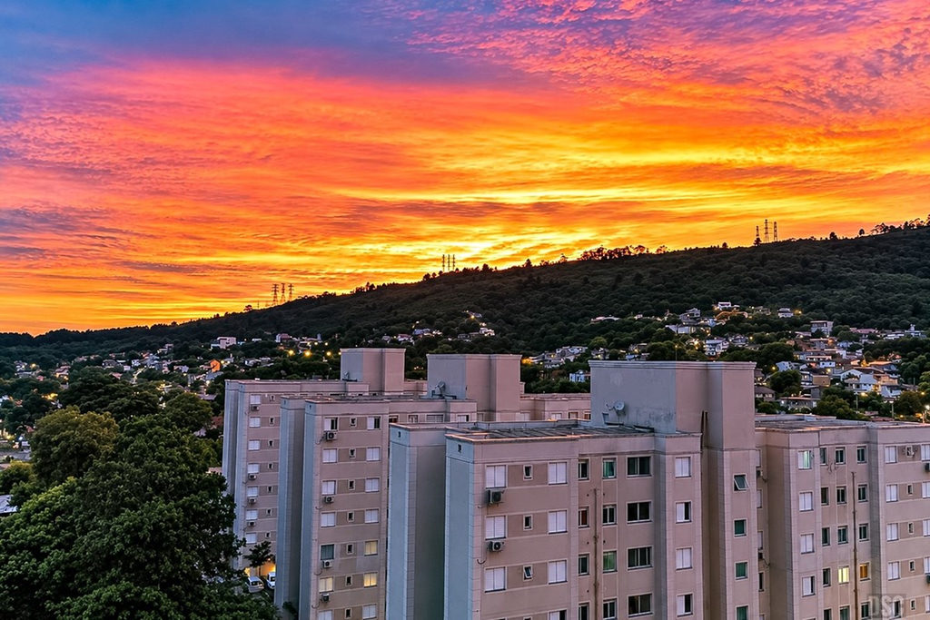 Apartamento - Venda - Morro Santana - Porto Alegre - RS