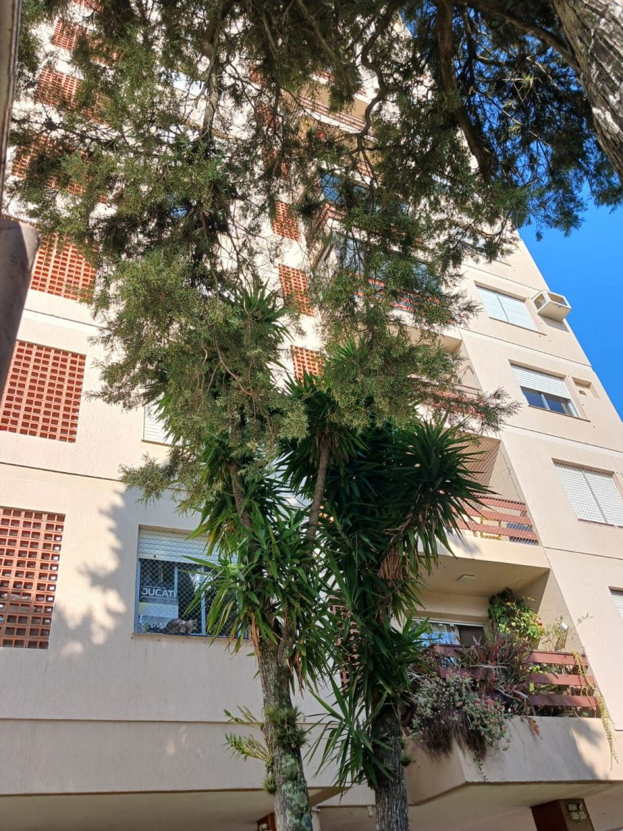 Apartamento - Venda - Glria - Porto Alegre - RS