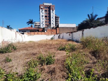 PDJW 151 Lote 612511082-1
